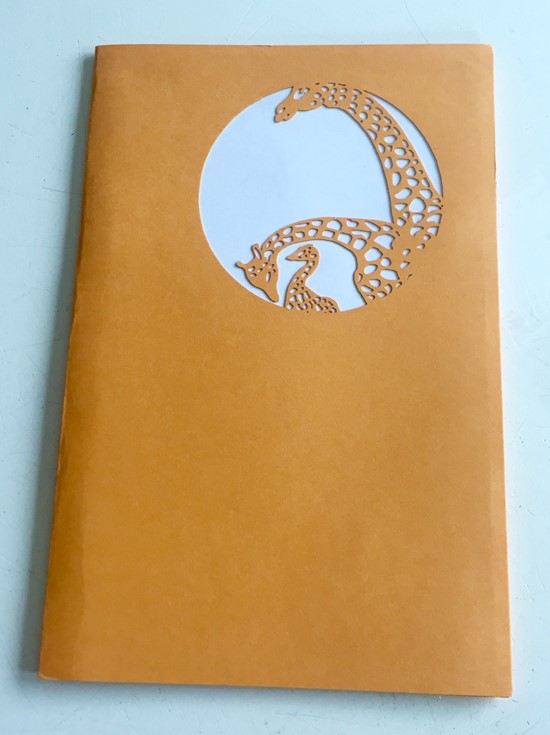 Giraffer